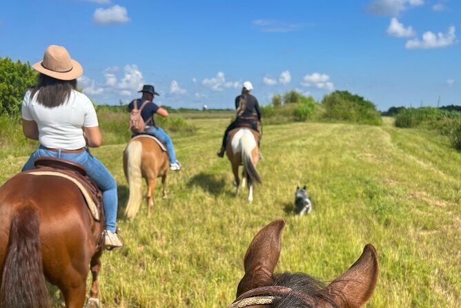 Horseback Riding in Miami - Who Should Consider This Tour?