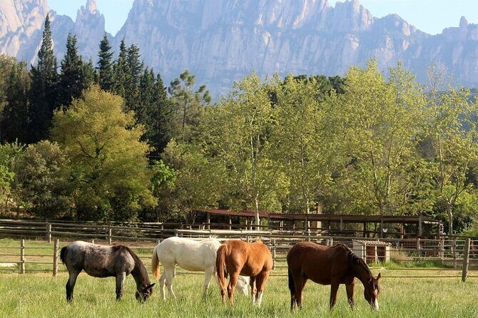 Horseback Riding in Montserrat Mountain Natural Park, Barcelona - 1 to 2 hrs - FAQ