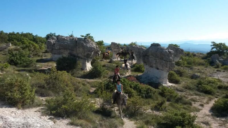 Horseback riding in Provence Luberon - Key Points