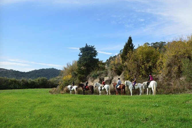 Horseback Riding in Randa Valleys, Mallorca, Spain - Key Points
