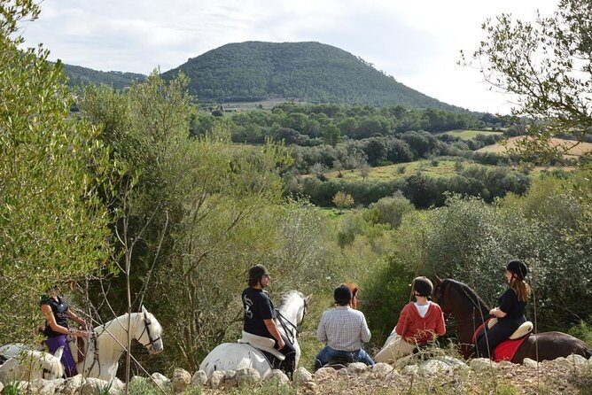 Horseback Riding in Randa Valleys, Mallorca, Spain - The Value of This Experience