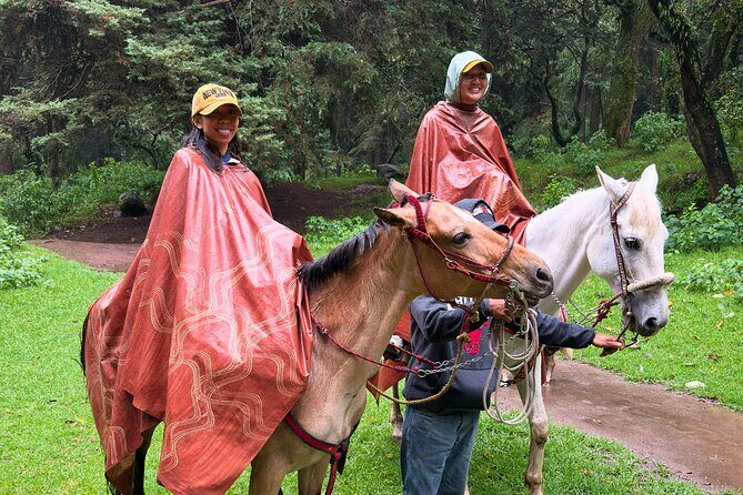 Horseback Riding in the Forest and Breakfast in Cabin - Practical Info & Tips