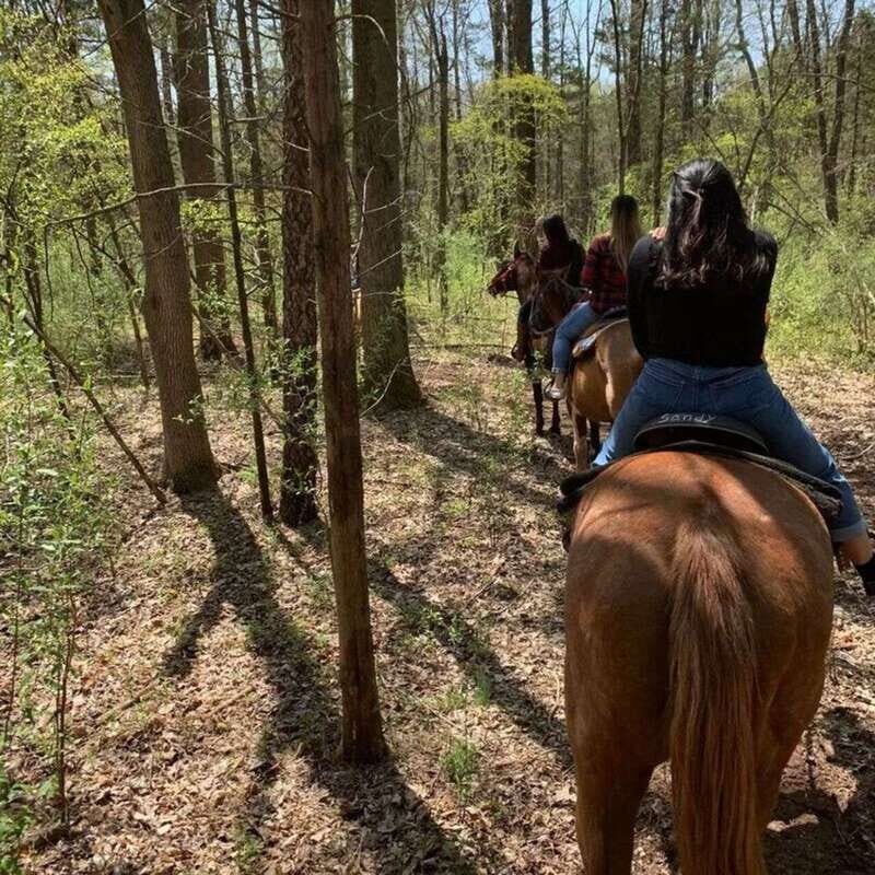 Horseback Riding in the Guanajuato Hills - What Could Be Improved?