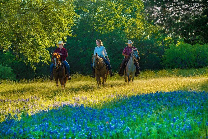 Horseback Riding on Scenic Texas Ranch near Waco - Key Points
