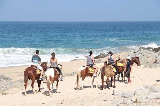 Horseback Riding on The Beach and Through The Desert! - A Closer Look at the Experience