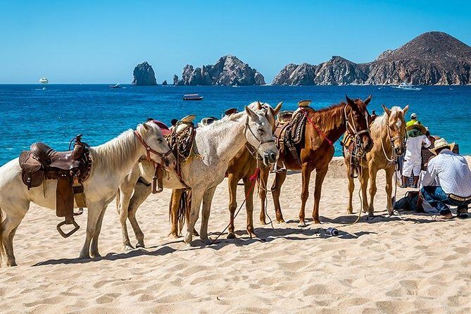 Horseback Riding on The Beach and Through The Desert! - The Good & The Not-So-Good