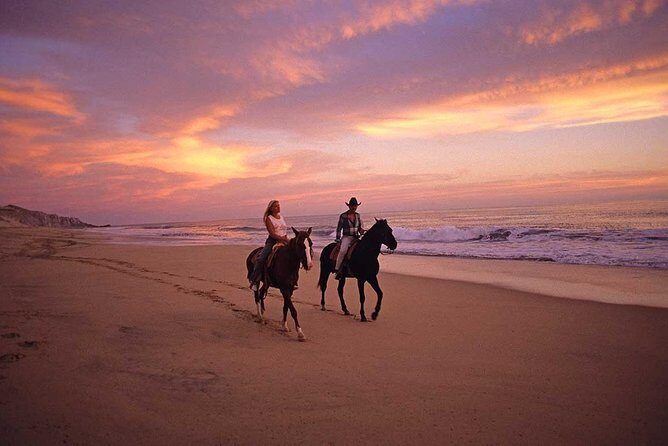 Horseback Riding on The Beach and Through The Desert! - FAQ