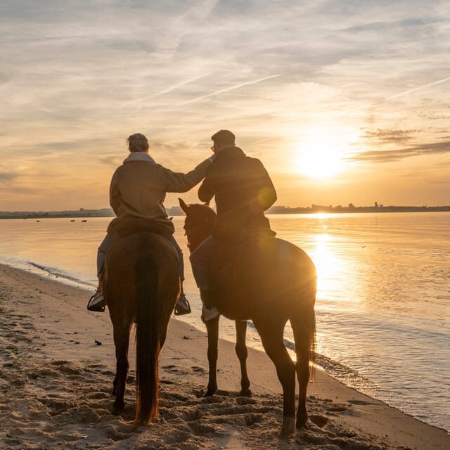 Horseback Riding On The Beach At Sunset - Key Points