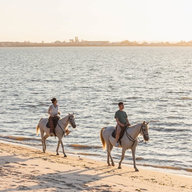 Horseback Riding On The Beach At Sunset - What to Expect from Your Sunset Horseback Ride