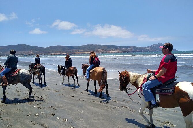 Horseback Riding on the Beach from Ensenada - What You Can Expect from This Horseback Ride