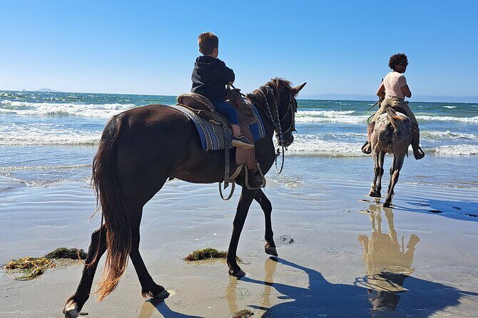 Horseback Riding on the Beach from Ensenada - The Guide and Overall Experience