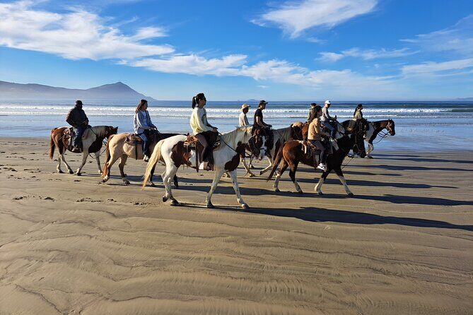 Horseback Riding on the Beach from Ensenada - Logistics and Practical Details
