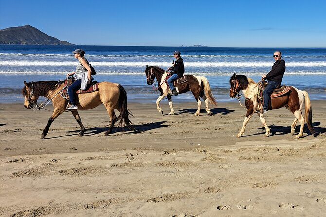 Horseback Riding on the Beach from Ensenada - The Authentic Traveler Experience from Reviews