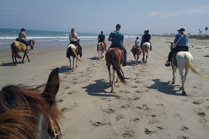 Horseback Riding on the Beach from Ensenada - Is This Tour Worth It?