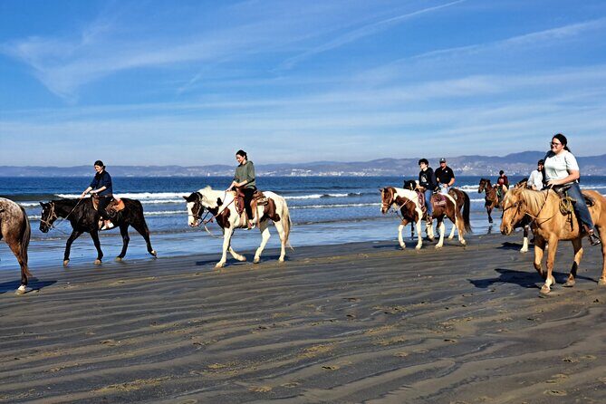 Horseback Riding on the Beach from Ensenada - Who Should Consider This Experience?