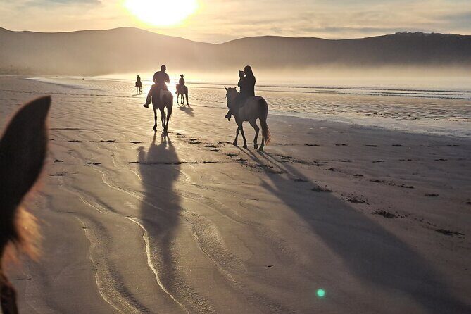 Horseback Riding on the Beach from Ensenada - FAQs