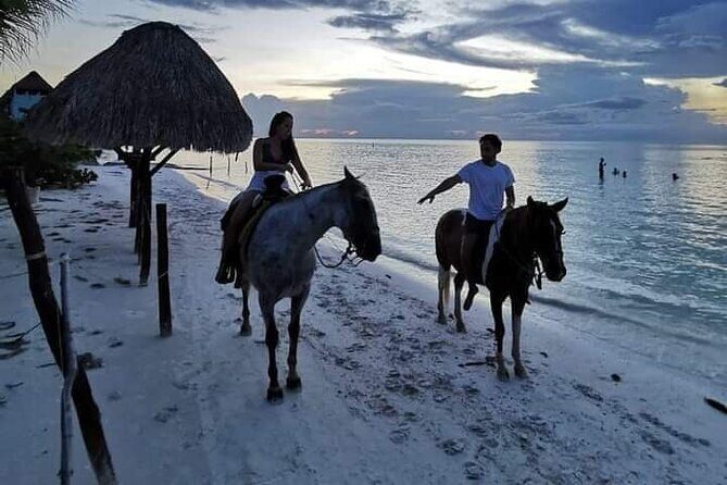 Horseback Riding on the Beaches of Holbox - What to Expect from the Horseback Riding Tour