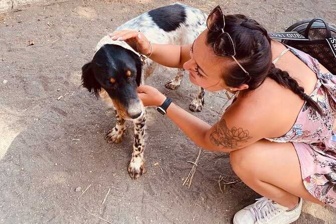 Horseback Riding on Vesuvius - Who Should Consider This Tour?