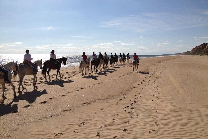 Horseback riding through Doñana and visit of El Rocio - Private tour - Authentic Experiences from Past Travelers