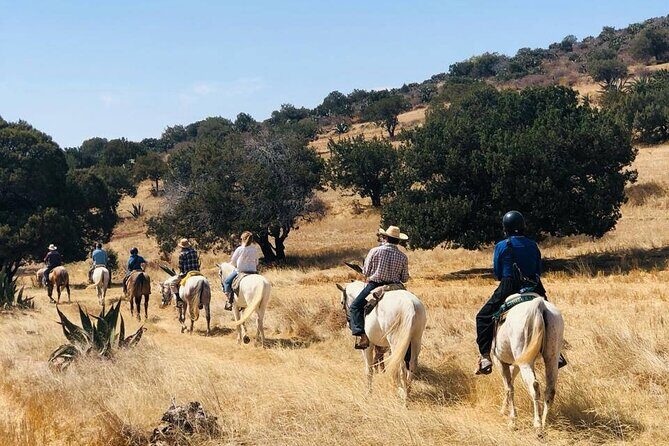 Horseback Riding through Mexican Haciendas - What to Expect from the Horseback Riding through Mexican Haciendas Tour