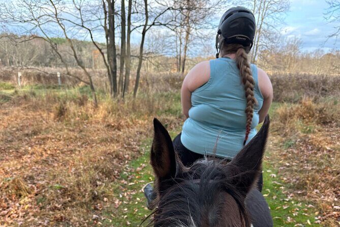 Horseback Riding Through Scenic Park in Brookeville - Horseback Riding Through Scenic Park in Brookeville: A Genuine Review
