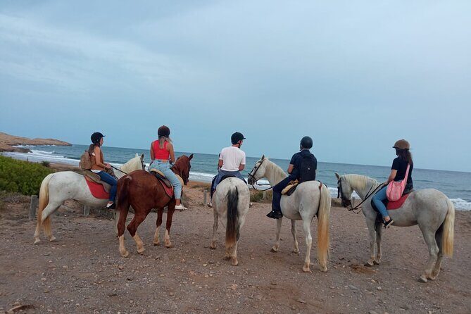 Horseback riding through the Calblanque Natural Park - An In-Depth Look at the Horseback Riding Tour