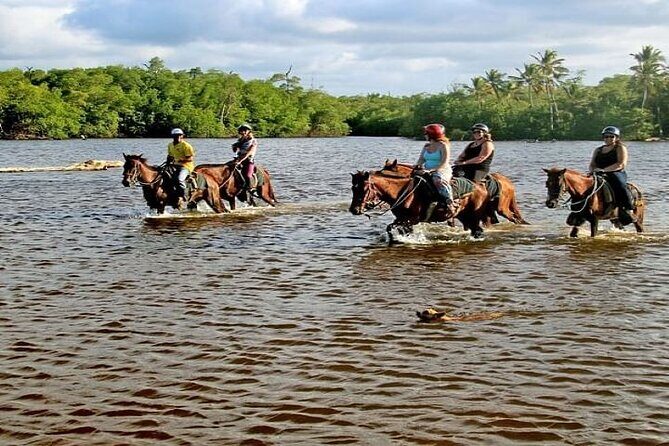 Horseback Riding to Maimon River from Punta Cana - Key Points