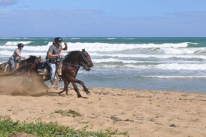 Horseback Riding to Maimon River from Punta Cana - What Is the Horseback Riding to Maimon River Tour All About?