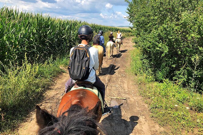 Horseback Riding Tour In Brasov - Ride Through Fields, Forests & Hills - Who Should Consider This Experience?