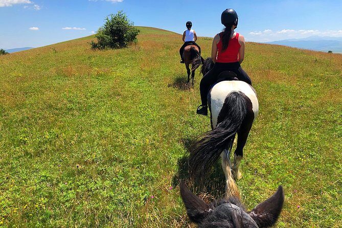 Horseback Riding Tour In Brasov - Ride Through Fields, Forests & Hills - FAQ: Your Practical Questions Answered