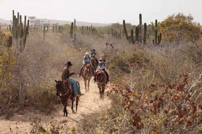 Horseback Riding Tour in Cabo San Lucas - Who Will Love This Experience?