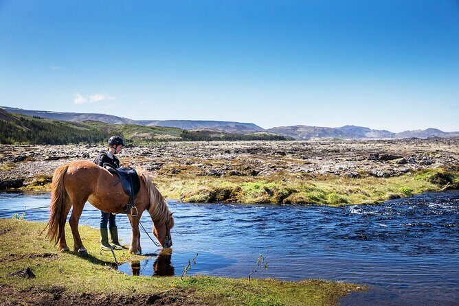 Horseback Riding Tour in Iceland - Horseback Riding Tour in Iceland: A Down-to-Earth Look