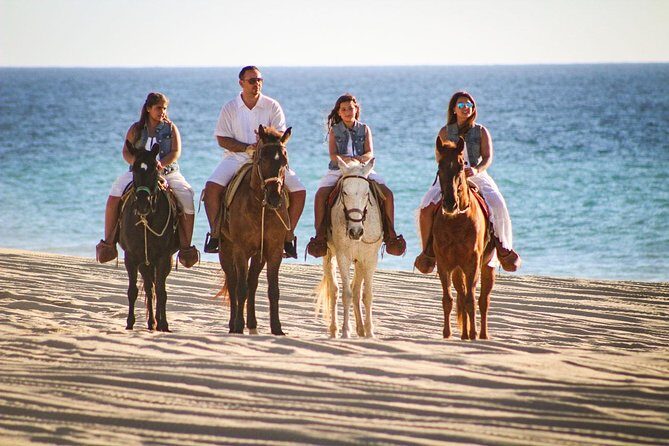 Horseback Riding Tour in Los Cabos - Who This Tour Is Best For
