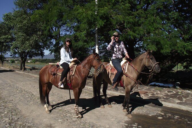 Horseback Riding Tour in The Agave Field with Lunch - What’s Included and What’s Not