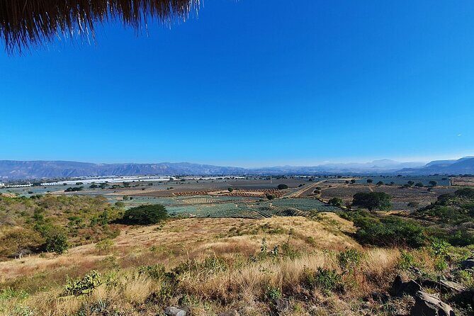 Horseback Riding Tour in The Agave Field with Lunch - The Reviews Speak Volumes
