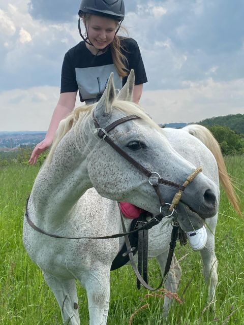 Horseback riding tour near Prague - A Detailed Look at the Experience