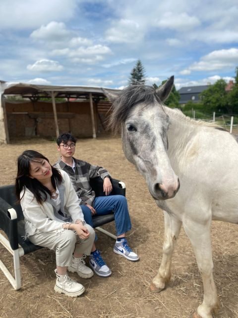 Horseback riding tour near Prague - Authentic Guest Insights