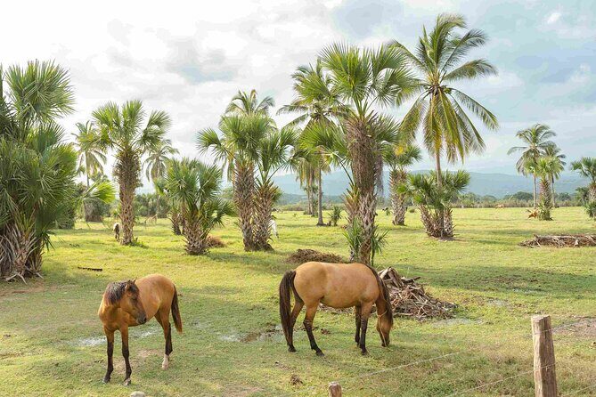 Horseback Riding Tour on the Beach in Puerto Escondido - Practical tips for booking and participating