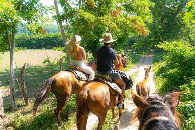 Horseback Riding Tour to the Hot Springs in Puerto Escondido - Key Points
