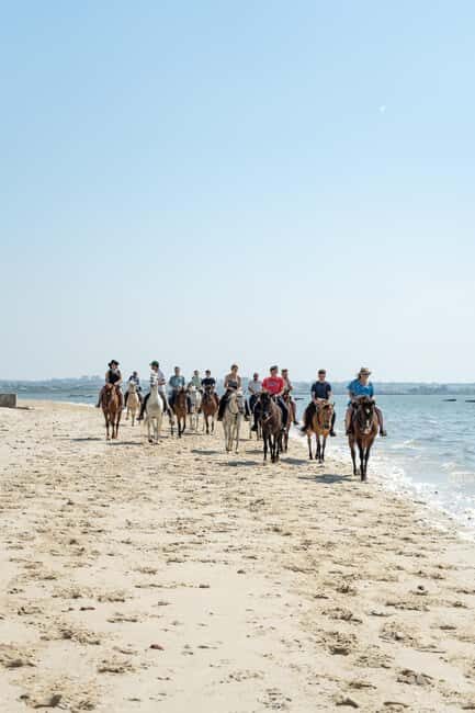 Horseback Riding Trough The Beach GROUP - PDT - What to Expect From This Tour