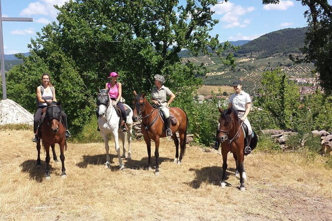 Horseback riding & Wine Tasting and snack Lunch at noble Estate - The Real Value of the Experience
