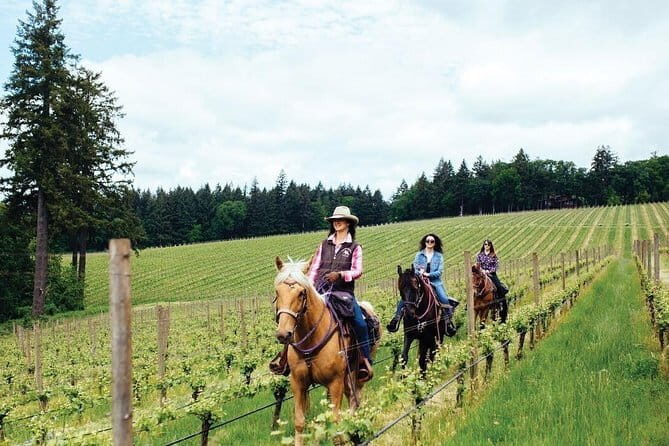 Horseback riding & Wine Tasting and snack Lunch at noble Estate - Considerations Before Booking