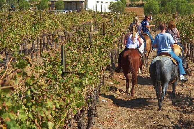 Horseback Ridings and Wine Tastings in a Winery of San Gimignano - The Itinerary Breakdown