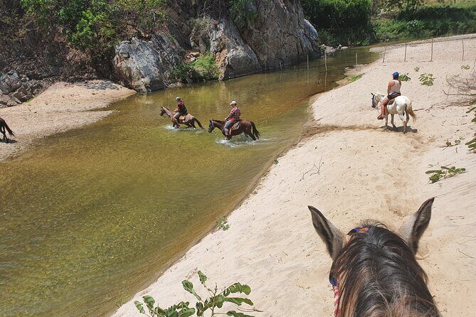 Horses on The Beach or Hot Springs - Who Would Love This Tour?