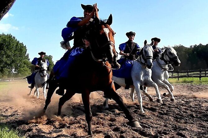 Horseshow on the Hungarian Puszta, private tour from Budapest with entry! - Frequently Asked Questions
