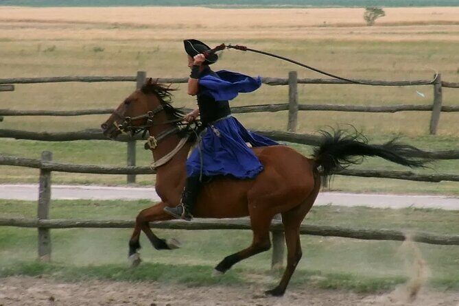Horseshow on the Hungarian Puszta, private tour from Budapest with entry! - Final Thoughts