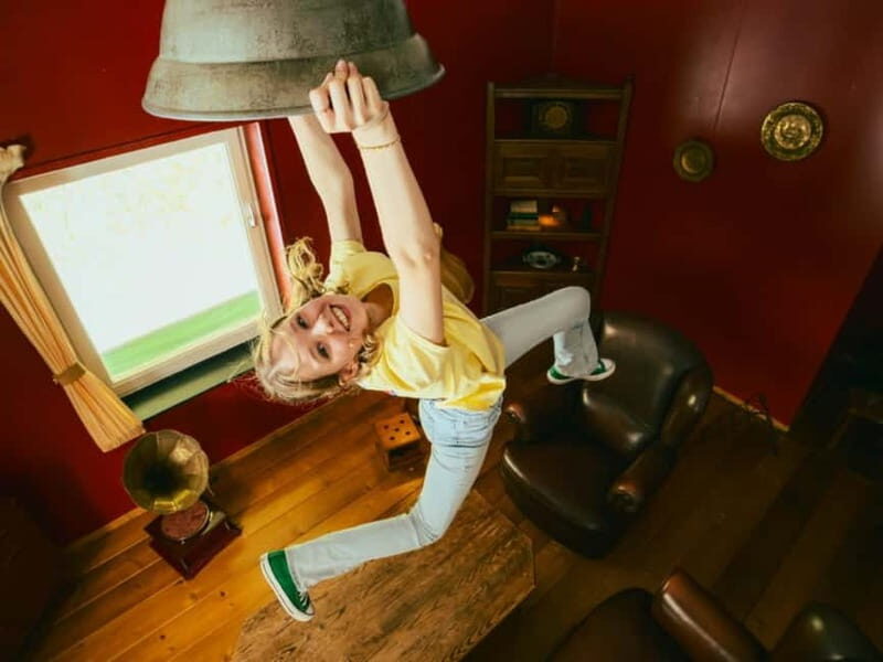 Horst: Mind Mystery Optical Illusion Experience Entry Ticket - Key Points