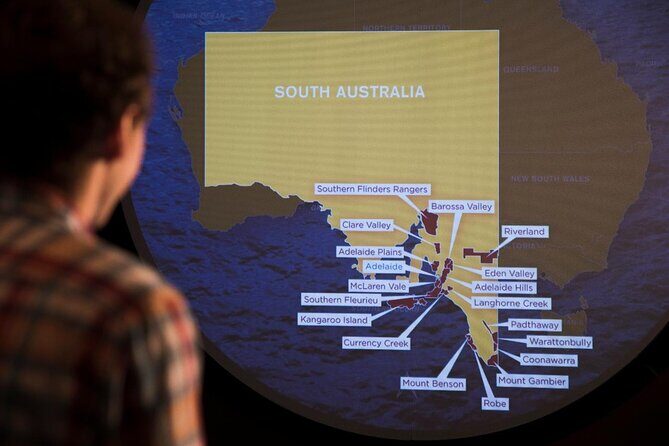 Hosted Wine Discovery Journey Tour - What to Expect from the Tour Itself