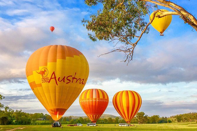 Hot Air Balloon Flight Brisbane with Vineyard Breakfast - The Vineyard Breakfast: A Delicious Finish