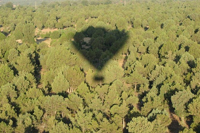 Hot-Air Balloon Ride over Madrids Guadarrama Regional Park - The Cost and Value